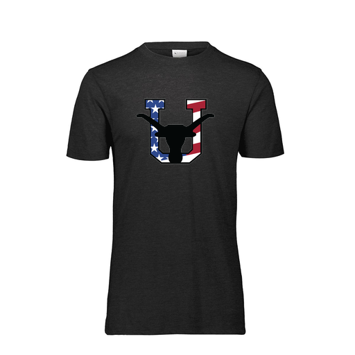 [FTSCUBBK-AS-LOGO1] Decker Men's Tri-Blend T-Shirt - Short Sleeve (Adult S, Black, Logo 1)